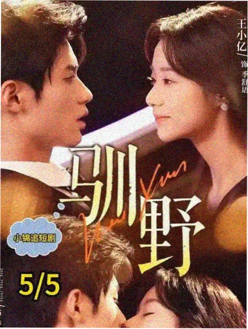 假日列车 治愈系电视剧在线观看